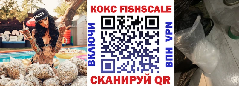 Купить где Горячий Ключ COCAIN VHQ
