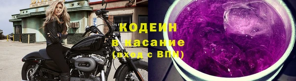 дживик Дмитриев